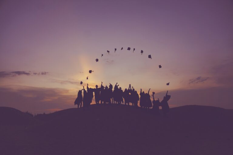 Lire la suite à propos de l’article Les diplômes de l’animation en France